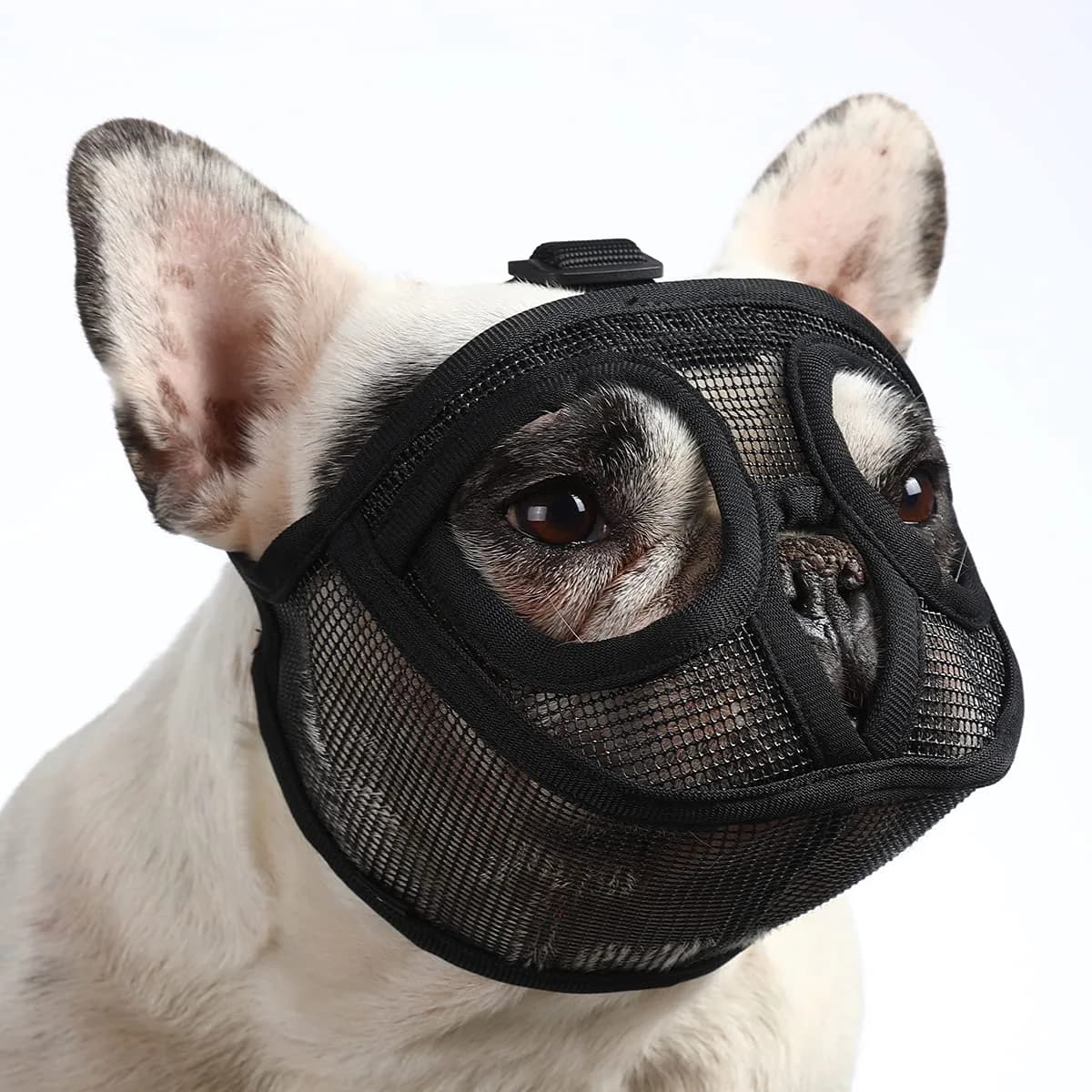 BARKLESS Short Snout Muzzle for French Bulldog, Shih Tzu, Soft Mesh Muzzle - Small (Head 15-17.5in / 38-45cm) - main product image