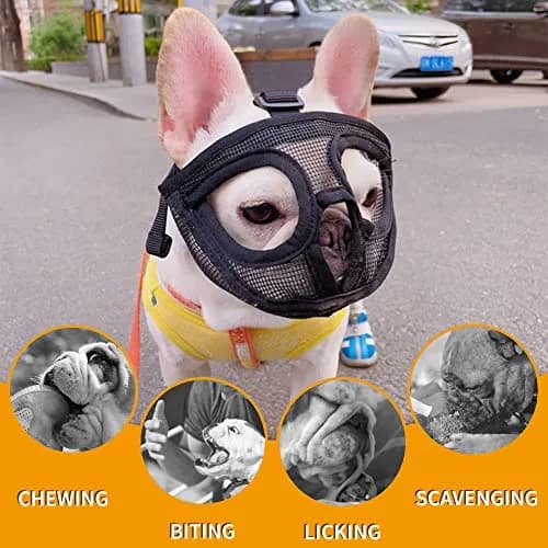 BARKLESS Short Snout Muzzle for French Bulldog, Shih Tzu, Soft Mesh Muzzle - Small (Head 15-17.5in / 38-45cm) thumbnail 8