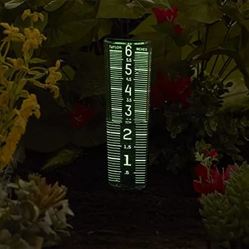 Taylor Glow-In-The-Dark Mountable Rain Gauge, 15.6 cm (6 inch) Capacity | Measure Precipitation Accurately thumbnail 5