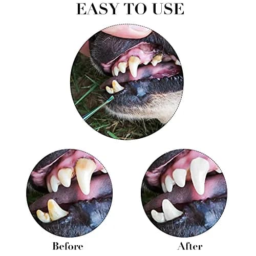 Hotop Dog Tooth Scaler Scraper Dental Tool Stainless Steel Rainbow Color | Pet Dental Care thumbnail 4