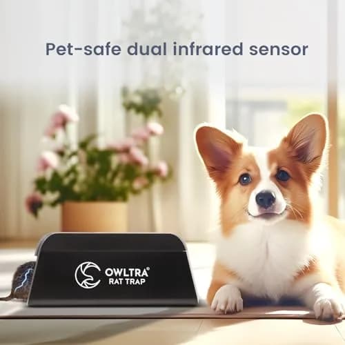 OWLTRA OW-1 Indoor Electric Rat Trap 2PCS | Pet Safe Instant Kill Rodent Zapper, Black thumbnail 2