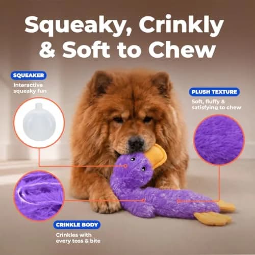 Best Pet Supplies Interactive Squeaky Dog Toy - Crinkle Duck, Purple | No Stuffing, Crinkle Paper, 15" thumbnail 3