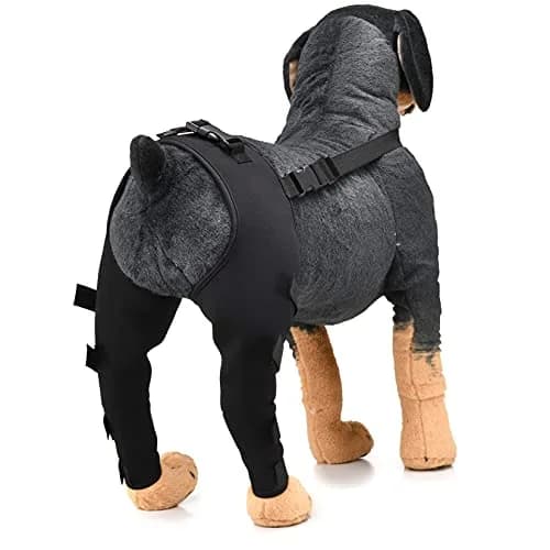 Zunea Dog Leg Brace for Hind Leg ACL CCL Tear Extra Support XS | Support & Stabilization for Small Dogs thumbnail 6