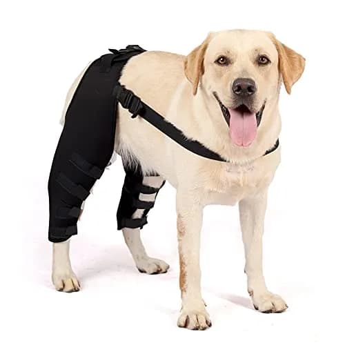 Zunea Dog Leg Brace for Hind Leg ACL CCL Tear Support M - Black | Compression Wrap for Arthritis & Injury Recovery thumbnail 1