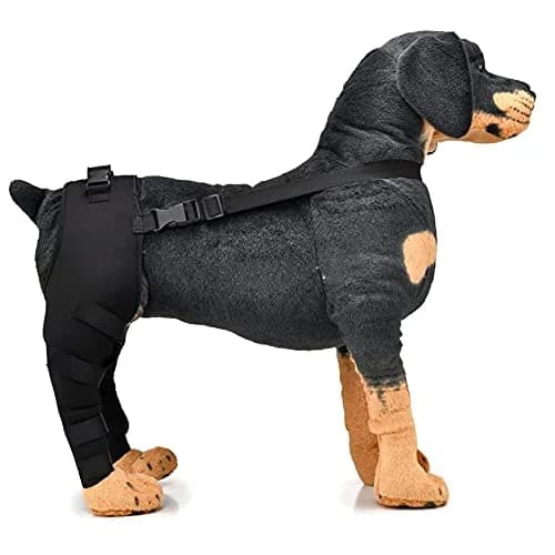 Zunea Dog Leg Brace for Hind Leg ACL CCL Tear Support M - Black | Compression Wrap for Arthritis & Injury Recovery thumbnail 5