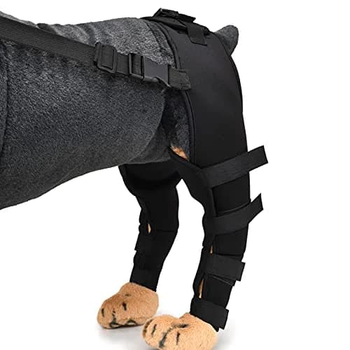 Zunea Dog Leg Brace for Hind Leg ACL CCL Tear Support M - Black | Compression Wrap for Arthritis & Injury Recovery thumbnail 7