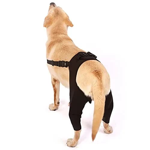 Zunea Dog Leg Brace for Hind Leg ACL CCL Tear Support | Adjustable, Durable, Fits Small to Large Dogs thumbnail 2