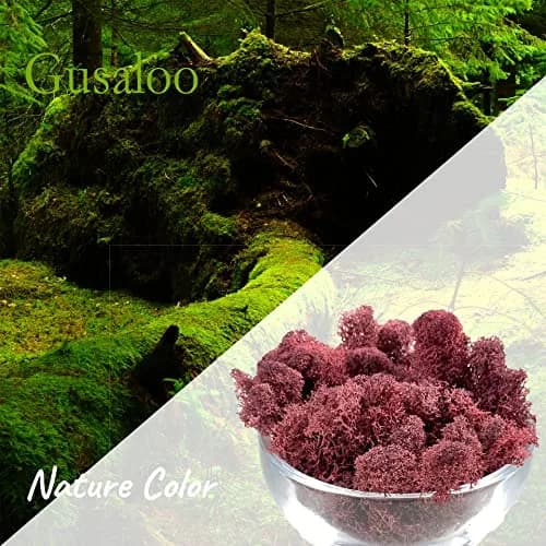 Gusaloo Artificial Moss Preserved 3.5oz | Long-Lasting Indoor Decor with Natural Green & Pink thumbnail 2