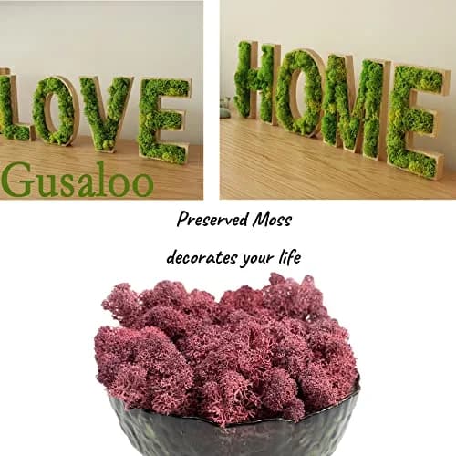 Gusaloo Artificial Moss Preserved 3.5oz | Long-Lasting Indoor Decor with Natural Green & Pink thumbnail 3