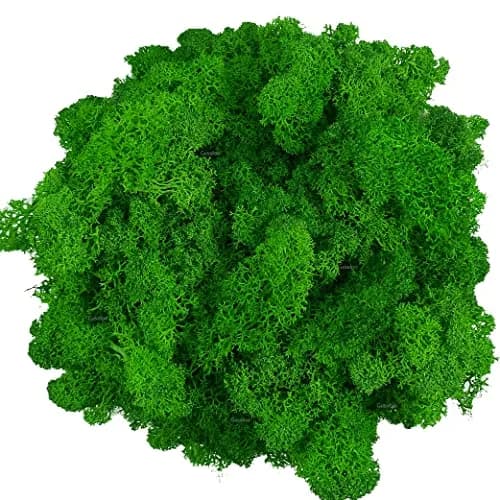 Gusaloo Artificial Moss Preserved Green Moss 3.5oz | Long-Lasting Indoor Decor thumbnail 1