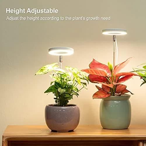LORDEM Full Spectrum LED Grow Light for Indoor Plants | Auto Timer & Dimmable Brightness thumbnail 2