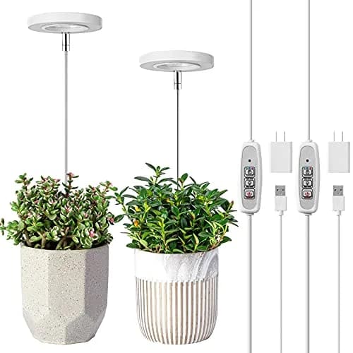LORDEM Grow Light for Indoor Plants, Full Spectrum LED 2 Packs | Auto Timer & Dimmable Brightness thumbnail 1
