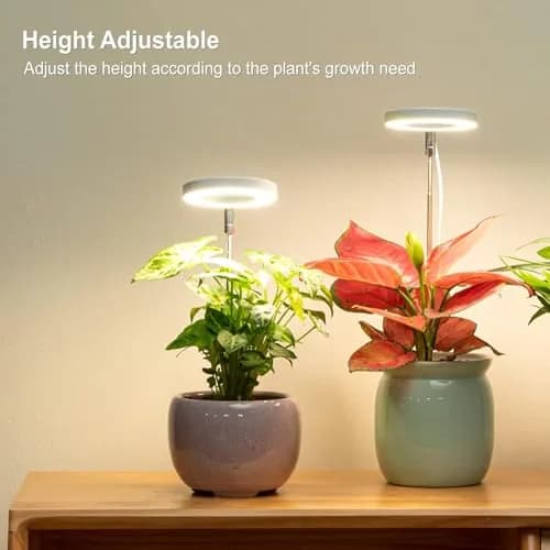 LORDEM Grow Light for Indoor Plants, Full Spectrum LED 2 Packs | Auto Timer & Dimmable Brightness thumbnail 5