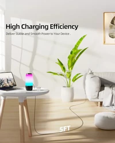 Dexpt USB-C Charging Cable 1.5m (5ft) for JBL Speakers & Headphones | Fast & Reliable Power thumbnail 8