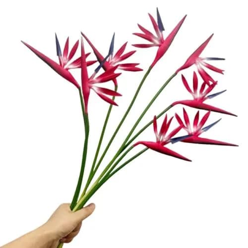 Corkwaw Red Artificial Bird of Paradise Flowers 55cm (21.5 Inch) | Pack of 8 Realistic Tropical Stems thumbnail 1