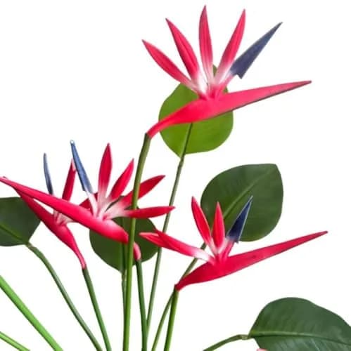 Corkwaw Red Artificial Bird of Paradise Flowers 55cm (21.5 Inch) | Pack of 8 Realistic Tropical Stems thumbnail 2