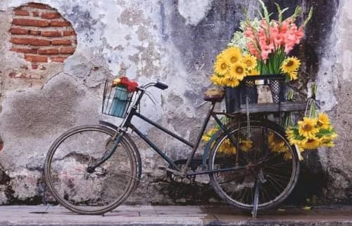 Ravensburger Puzzle Moment: Bicycle | 200-Piece Premium Jigsaw Puzzle for Adults and Kids | Unique Softclick Technology Ensures Vibrant, Matte Finish with Long-Lasting Quality thumbnail 3