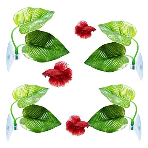 CousDUoBe 4 Pack Betta Fish Leaf Pads | Simulates Natural Habitat for Betta Health thumbnail 1