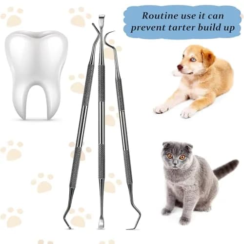 Hotop Dog Tooth Scaler Scraper Dental Tool Stainless Steel,Black | Pet Dental Care for Dogs thumbnail 5
