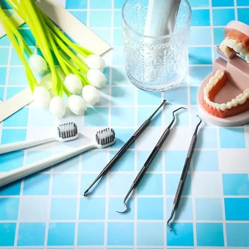 Hotop Dog Tooth Scaler Scraper Dental Tool Stainless Steel,Black | Pet Dental Care for Dogs thumbnail 7