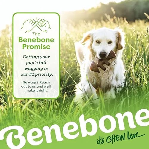Benebone Medium 4-Pack Dog Chew Toys for Aggressive Chewers Under 60 lbs | Real Bacon Flavor thumbnail 7