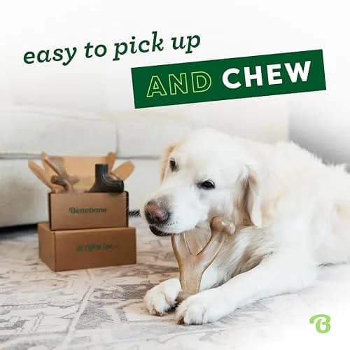 Benebone Large 4-Pack Dog Chew Toys for Aggressive Chewers – 2.8 lbs (1.27 kg) | USA-Sourced Nylon for Dogs Under 90 lbs thumbnail 2