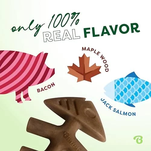 Benebone Large 4-Pack Dog Chew Toys for Aggressive Chewers – 2.8 lbs (1.27 kg) | USA-Sourced Nylon for Dogs Under 90 lbs thumbnail 3