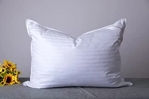ArcticNorthDown Queen Size Goose Down Feather Pillow 51x76 cm (20x30 inches) | Hotel Collection for All Sleepers thumbnail 1
