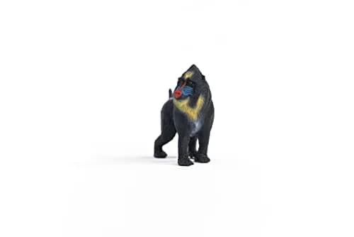 Schleich Mandrill Monkey Figurine 7cm (2.7in) | Realistic Wild Life Toy for Kids Ages 3+ thumbnail 7