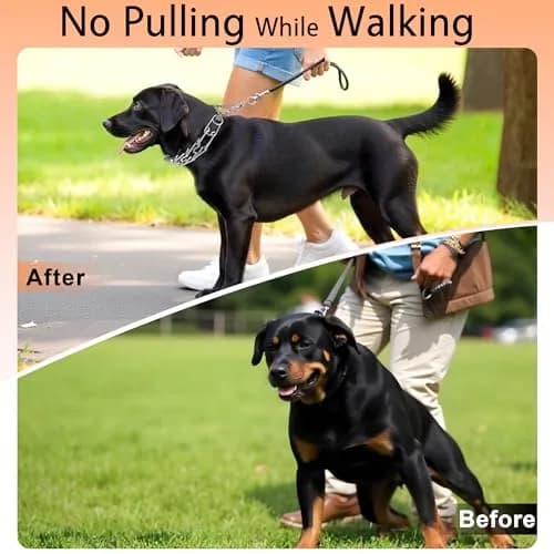 DEYACE Stainless Steel Prong Collar for Dogs with Quick Release Buckle, Adjustable Size (8.5"-10.5" Neck Girth) thumbnail 5