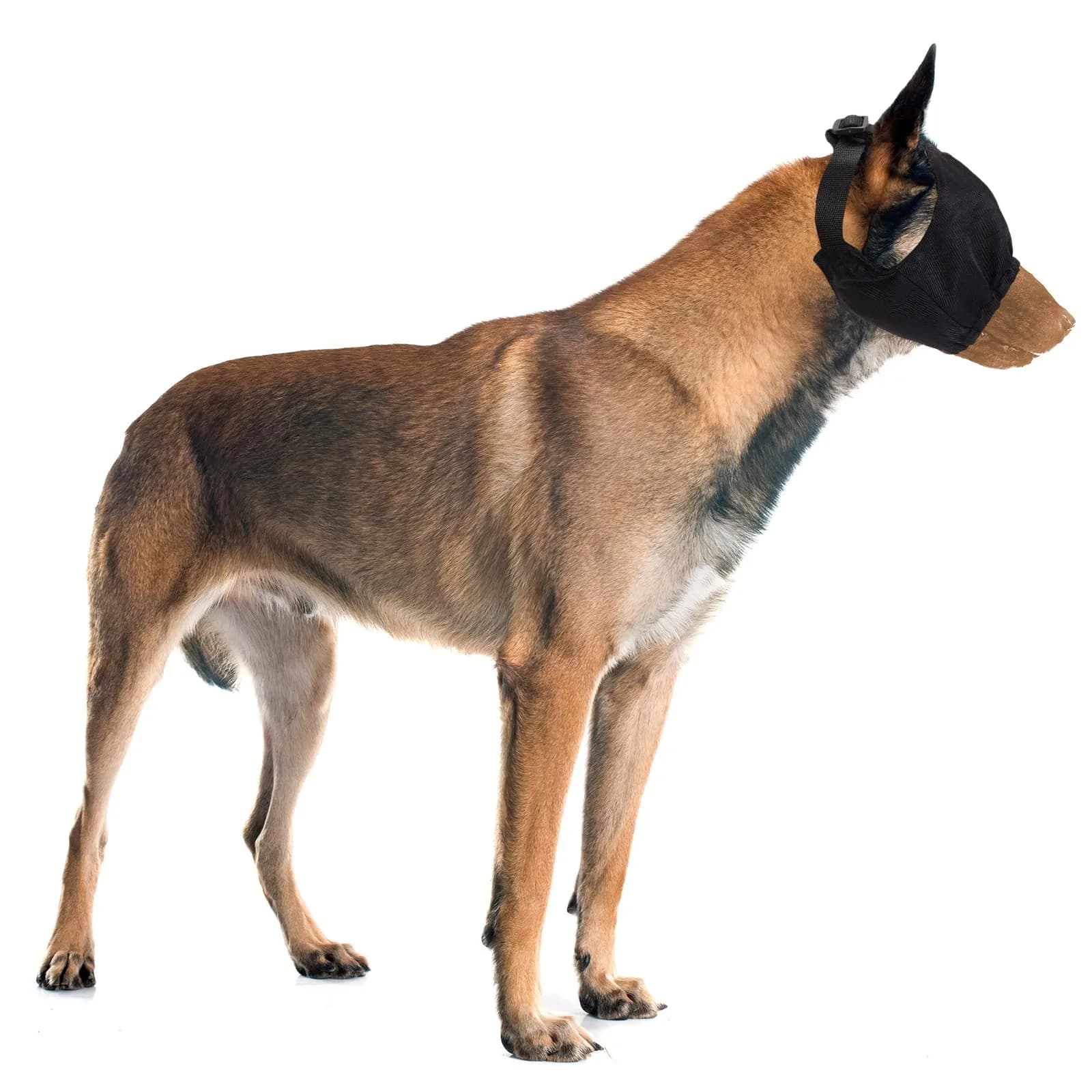 Xuniea Dog Calming Cap Blindfold Shading Large | Anxiety Eye Cover for Grooming & Travel