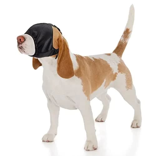 Xuniea Dog Calming Cap Blindfold Shading Medium | Anxiety Eye Cover for Dogs thumbnail 1