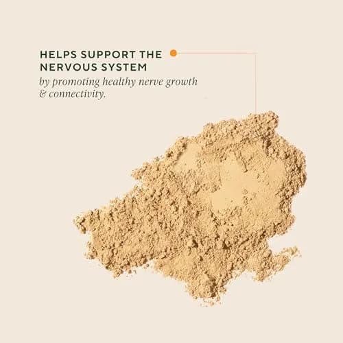 OM Mushroom Superfood Organic Lion's Mane Powder 200g (7.05 oz) | Supports Memory, Focus & Nerve Health thumbnail 2