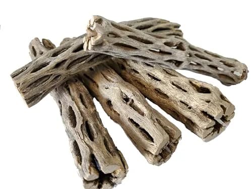 SoShrimp Natural Cholla Wood for Aquarium Decoration 6 Inch (5 Pack) | Creates Realistic Underwater Environments thumbnail 1