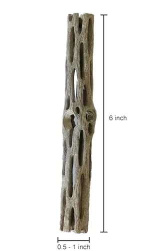 SoShrimp Natural Cholla Wood for Aquarium Decoration 6 Inch (5 Pack) | Creates Realistic Underwater Environments thumbnail 5