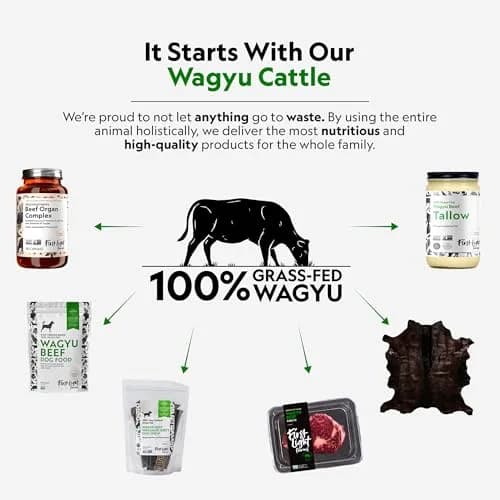 First Light Farms Freeze-Dried Wagyu Beef Dog Food Topper 0.68 kg (1.5 lb) | High Protein Treat for All Breeds thumbnail 6