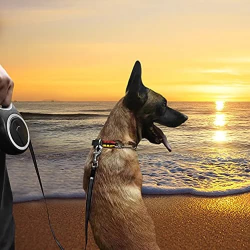 MK-DEF 26Ft Retractable Dog Leash | Heavy Duty Nylon Tape, Anti-Slip Handle, Tangle-Free (Large Size) thumbnail 6