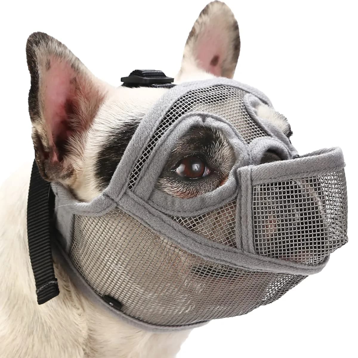 BARKLESS French Bulldog Muzzle XS (Head 13-14.5'') | Breathable Mesh Short Snout Dog Muzzle for Panting, Biting, Grooming — Grey / M (Head 18.0-20.5'')