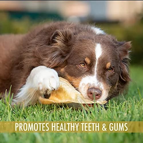 Wild Eats Water Buffalo Prime Bone Assortment Dog Chews 15 Pack | Grain Free, Single-Source Protein, Natural Texture thumbnail 4