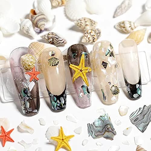 Teensery Nail Art Rhinestones 2 Boxes Ocean Shell Starfish Shells | 12 Styles for Glamorous Nails thumbnail 2