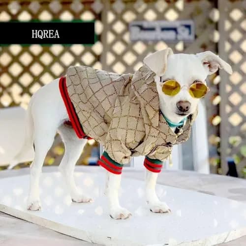 HQREA Dog Hoodie Luxury Winter Small Dog Jacket Clothes Classic Designer French Bulldog Teddy Pug Puppy Clothes (L) | Warm, Fashionable & Water-Resistant thumbnail 6