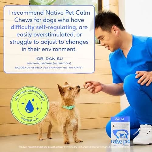 Native Pet Calming Chews for Dogs - Air-Dried Chicken Flavor, 60 Chews | Supports Calmness & Emotional Balance thumbnail 6