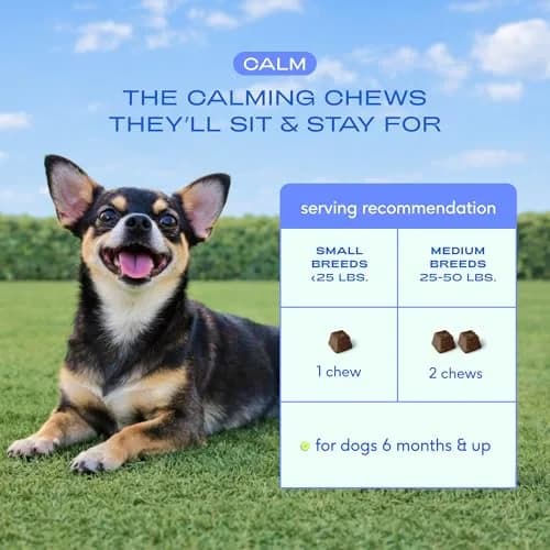 Native Pet Calming Chews for Dogs - Air-Dried Chicken Flavor, 60 Chews | Supports Calmness & Emotional Balance thumbnail 7