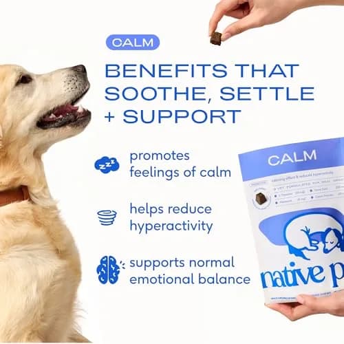 Native Pet Calming Chews for Dogs - Air-Dried Chicken Flavor, 60 Chews | Supports Calmness & Emotional Balance thumbnail 2