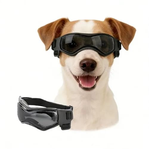 Enjoying Black Pet Apparel Dog Goggles UV Protection for Medium Breeds | Windproof & Adjustable thumbnail 1
