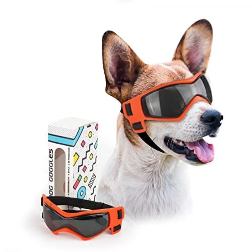 PETLESO Dog Goggles for Small to Medium Breed, Anti-UV Dog Sunglasses 5" L x 2" W | Sporty Orange Pet Eyewear thumbnail 1