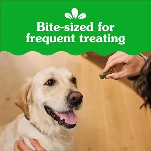 Greenies Dog Treats Blueberry Flavor | Chewy, Natural, 10.3 oz | 13 Calories thumbnail 3