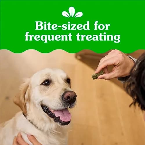 Greenies Anytime Bites Dog Treats, Original Flavor, 10.3 oz | Chewy, Low-Calorie Dog Snacks for Training & Treating thumbnail 3