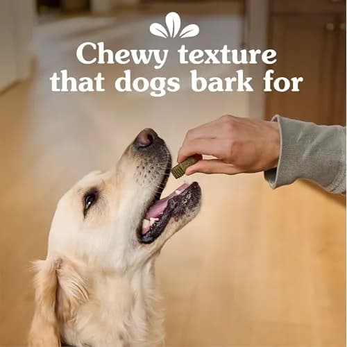 Greenies Dog Treats Mint Flavor 10.3 oz | Chewy, Natural, 13 Calories thumbnail 5