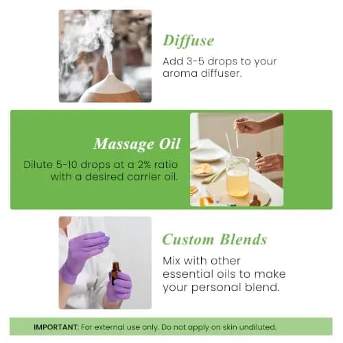 Handcraft Blends Peppermint Essential Oil 10ml (0.33 Fl Oz) | Pure & Natural for Aromatherapy thumbnail 2